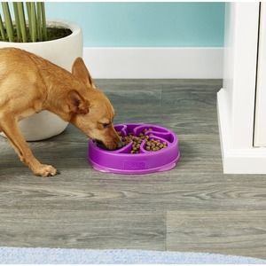 Outward Hound Purple Flower Slow Feeder Dog Bowl - Mini/Medium Size